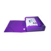 Picture of EXACOMPTA BOX FILE 80MM